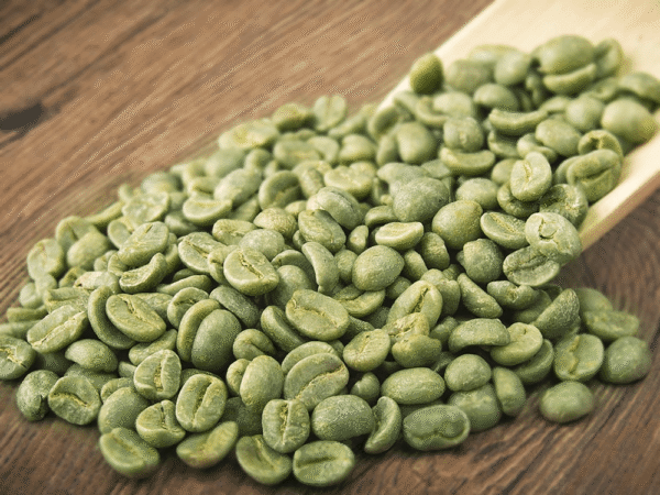 Arabica