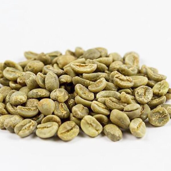 Excelsa